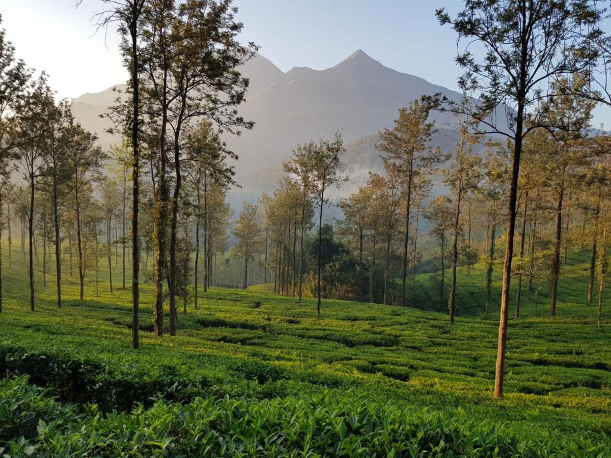 Glad Valley Wayanad By Lexstays-Tea Estate Villa Zewnętrze zdjęcie